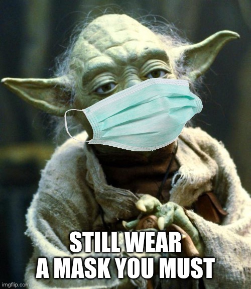 Star Wars Yoda | STILL WEAR A MASK YOU MUST | image tagged in memes,star wars yoda | made w/ Imgflip meme maker