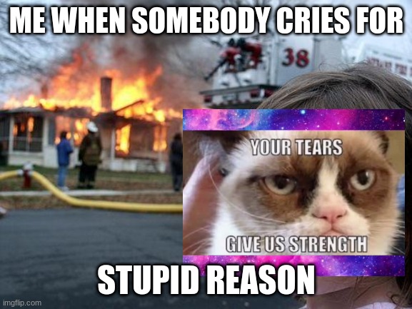 ME WHEN SOMEBODY CRIES FOR; STUPID REASON | image tagged in memes | made w/ Imgflip meme maker