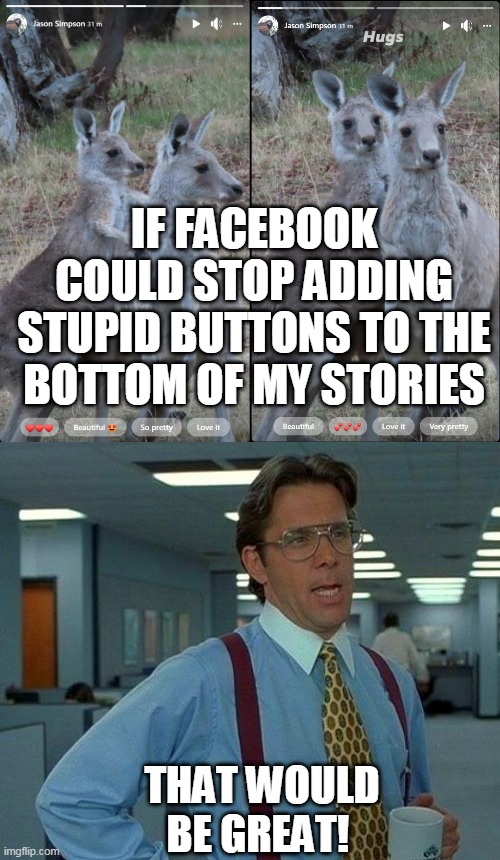 facebook | IF FACEBOOK COULD STOP ADDING STUPID BUTTONS TO THE BOTTOM OF MY STORIES; THAT WOULD BE GREAT! | image tagged in memes,that would be great | made w/ Imgflip meme maker