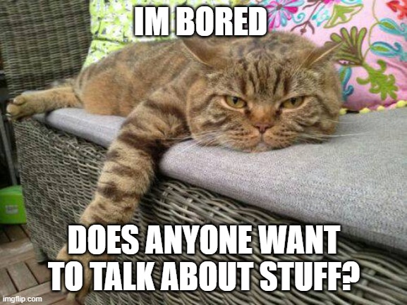 Bored Cat | IM BORED; DOES ANYONE WANT TO TALK ABOUT STUFF? | image tagged in bored cat | made w/ Imgflip meme maker