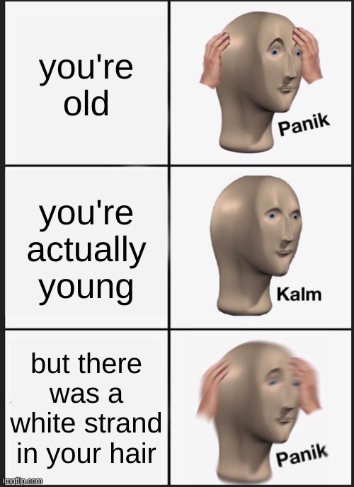 Panik Kalm Panik Meme | you're old; you're actually young; but there was a white strand in your hair | image tagged in memes,panik kalm panik | made w/ Imgflip meme maker