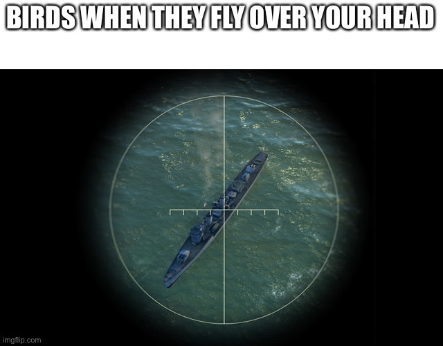 Bombing ship | BIRDS WHEN THEY FLY OVER YOUR HEAD | image tagged in bombing ship | made w/ Imgflip meme maker