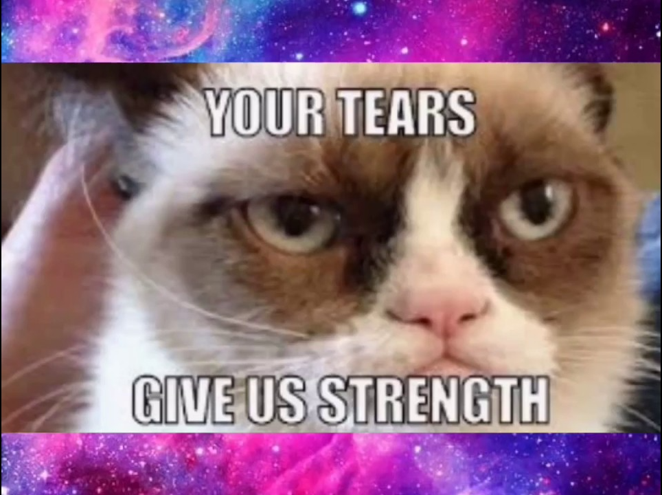 High Quality grumpy cat your tears give us strength Blank Meme Template