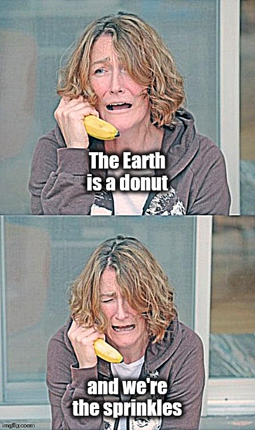 Mental patient | The Earth is a donut and we're the sprinkles | image tagged in mental patient | made w/ Imgflip meme maker