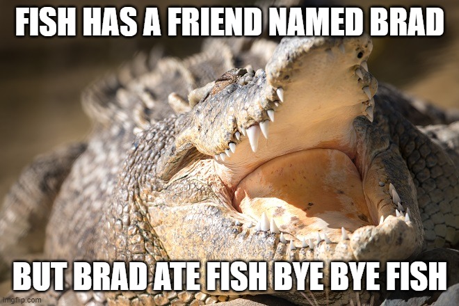 fish | FISH HAS A FRIEND NAMED BRAD; BUT BRAD ATE FISH BYE BYE FISH | image tagged in fish | made w/ Imgflip meme maker