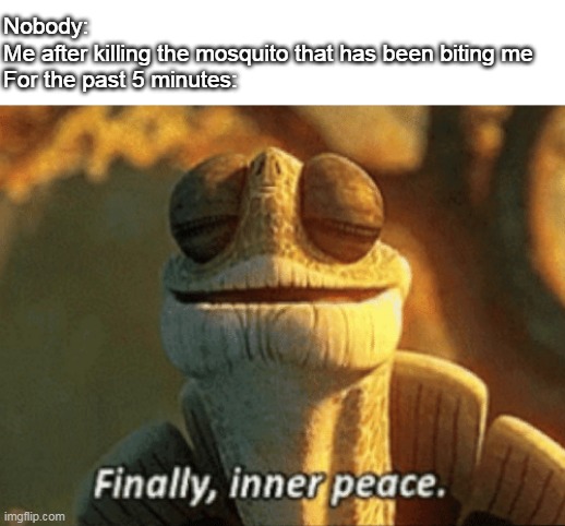 Relatable anyone? | Nobody:
Me after killing the mosquito that has been biting me 
For the past 5 minutes: | image tagged in finally inner peace | made w/ Imgflip meme maker
