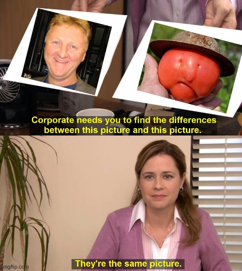 this is the same pic? | image tagged in they are the same picture | made w/ Imgflip meme maker