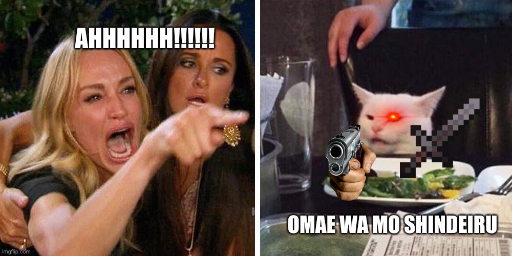 Who say cats can’t attack | AHHHHHH!!!!!! OMAE WA MO SHINDEIRU | image tagged in smudge the cat | made w/ Imgflip meme maker