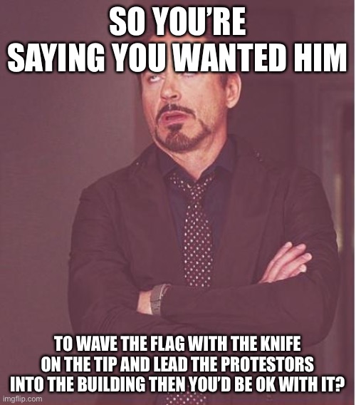 Face You Make Robert Downey Jr Meme | SO YOU’RE SAYING YOU WANTED HIM TO WAVE THE FLAG WITH THE KNIFE ON THE TIP AND LEAD THE PROTESTORS INTO THE BUILDING THEN YOU’D BE OK WITH I | image tagged in memes,face you make robert downey jr | made w/ Imgflip meme maker