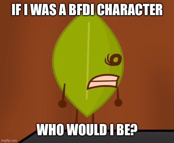 BFDI "Wat" Face | IF I WAS A BFDI CHARACTER; WHO WOULD I BE? | image tagged in bfdi wat face | made w/ Imgflip meme maker