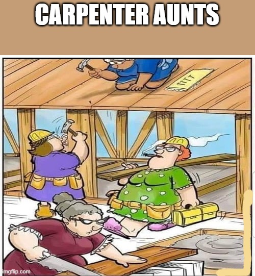 CARPENTER AUNTS | made w/ Imgflip meme maker