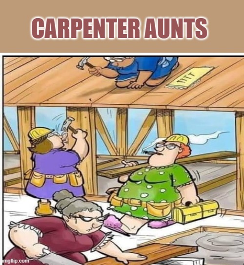 CARPENTER AUNTS | made w/ Imgflip meme maker