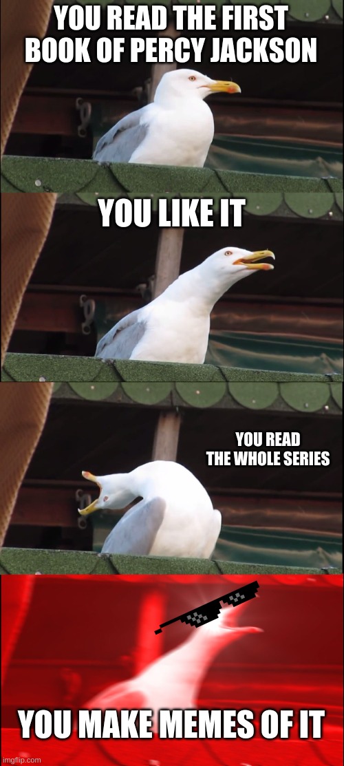Inhaling Seagull | YOU READ THE FIRST BOOK OF PERCY JACKSON; YOU LIKE IT; YOU READ THE WHOLE SERIES; YOU MAKE MEMES OF IT | image tagged in memes,inhaling seagull | made w/ Imgflip meme maker