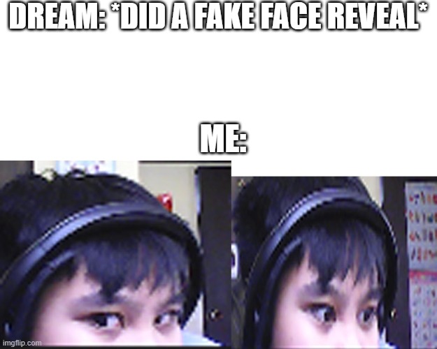 Well thats my face and i regret it so you cant find it hehe | DREAM: *DID A FAKE FACE REVEAL*; ME: | image tagged in face reveal | made w/ Imgflip meme maker