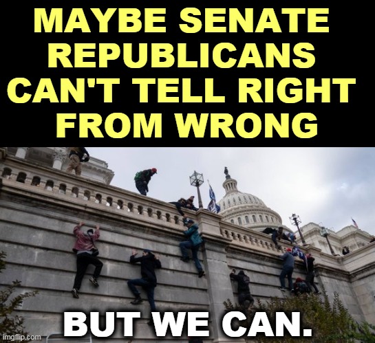 Those Republican NO votes were on process, not substance. | MAYBE SENATE 
REPUBLICANS 
CAN'T TELL RIGHT 
FROM WRONG; BUT WE CAN. | image tagged in capitol riot,trump,worst,president,forever | made w/ Imgflip meme maker