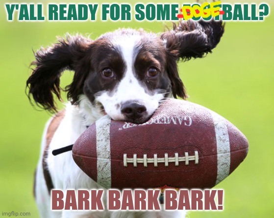 Doge Ball | Y'ALL READY FOR SOME FOOTBALL? BARK BARK BARK! | image tagged in throw it throw the football,dogs,love,sports | made w/ Imgflip meme maker