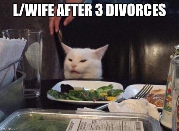 Salad cat | L/WIFE AFTER 3 DIVORCES | image tagged in salad cat | made w/ Imgflip meme maker