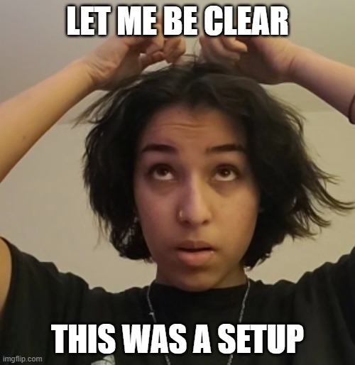 just another bad hairday | LET ME BE CLEAR; THIS WAS A SETUP | image tagged in bad hair day,funny haircut | made w/ Imgflip meme maker