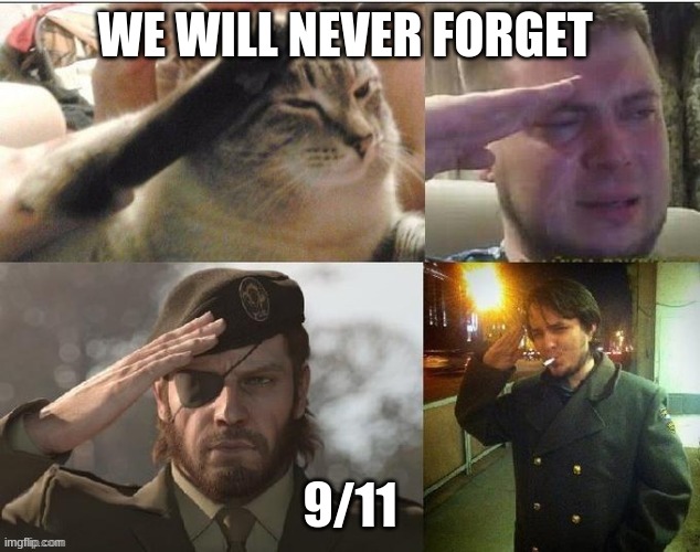 Cat salute m3m3 | WE WILL NEVER FORGET 9/11 | image tagged in cat salute m3m3 | made w/ Imgflip meme maker