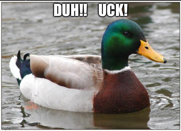 Actual Advice Mallard Meme | DUH!!    UCK! | image tagged in memes,actual advice mallard | made w/ Imgflip meme maker