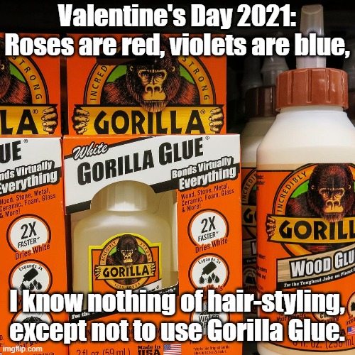 V day 2021 | Valentine's Day 2021: Roses are red, violets are blue, I know nothing of hair-styling,
except not to use Gorilla Glue. | image tagged in gorilla glue | made w/ Imgflip meme maker