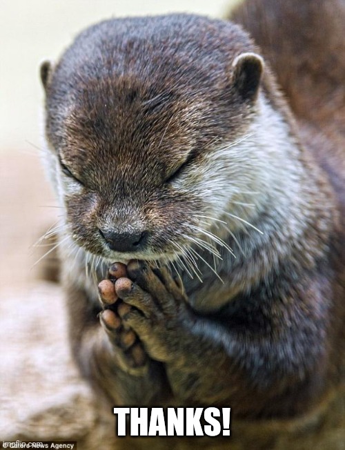 Thank you Lord Otter | THANKS! | image tagged in thank you lord otter | made w/ Imgflip meme maker