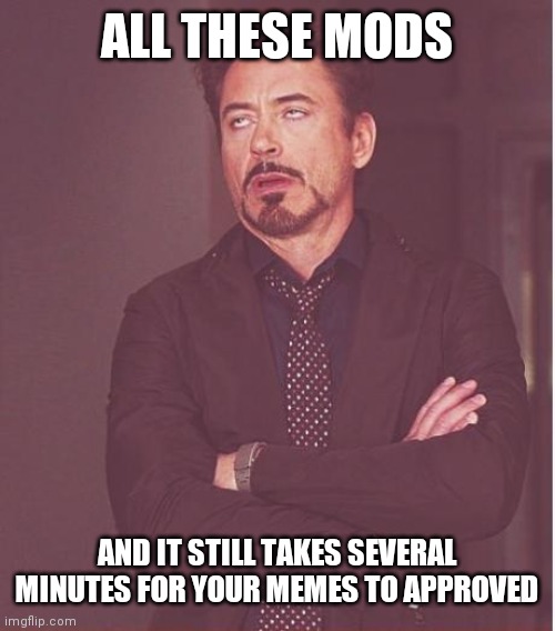 Idk | ALL THESE MODS; AND IT STILL TAKES SEVERAL MINUTES FOR YOUR MEMES TO APPROVED | image tagged in memes,face you make robert downey jr | made w/ Imgflip meme maker