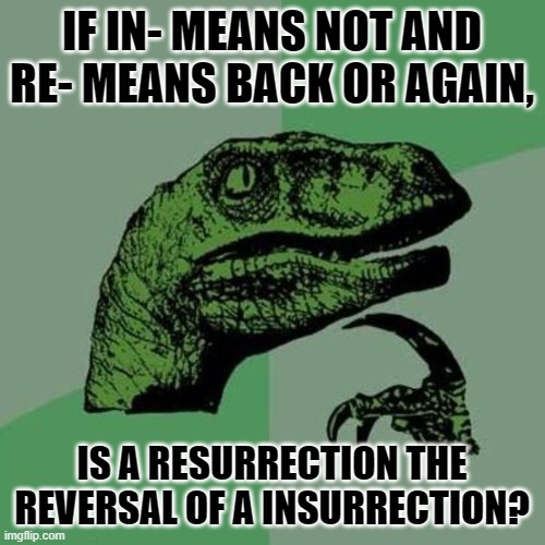 raptor | IF IN- MEANS NOT AND RE- MEANS BACK OR AGAIN, IS A RESURRECTION THE REVERSAL OF A INSURRECTION? | image tagged in raptor | made w/ Imgflip meme maker