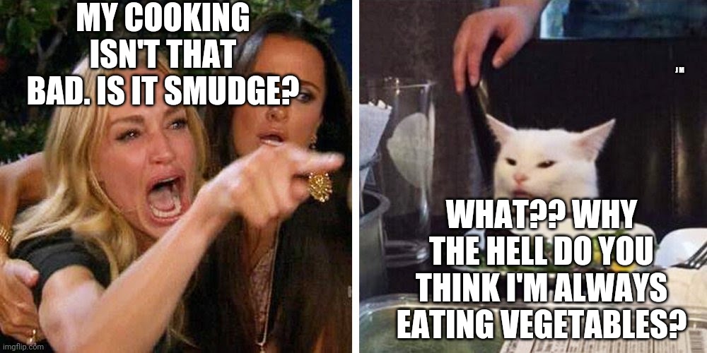 Smudge the cat | MY COOKING ISN'T THAT BAD. IS IT SMUDGE? J M; WHAT?? WHY THE HELL DO YOU THINK I'M ALWAYS EATING VEGETABLES? | image tagged in smudge the cat | made w/ Imgflip meme maker
