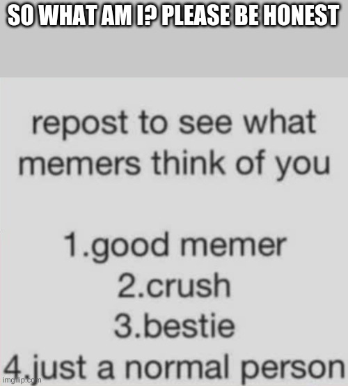 What am I? Be honest please | SO WHAT AM I? PLEASE BE HONEST | image tagged in question | made w/ Imgflip meme maker