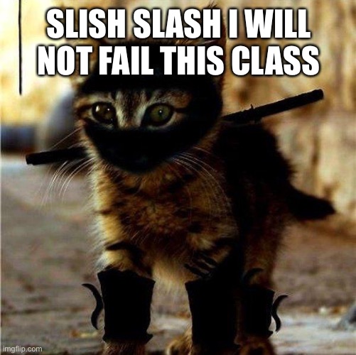 Ninja Cat | SLISH SLASH I WILL NOT FAIL THIS CLASS | image tagged in ninja cat | made w/ Imgflip meme maker