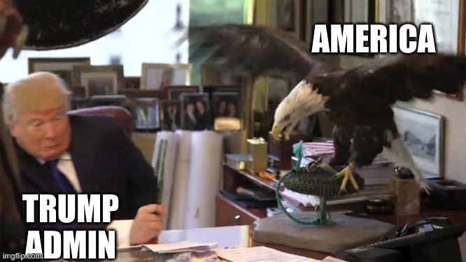 Trump Eagle | AMERICA TRUMP ADMIN | image tagged in trump eagle | made w/ Imgflip meme maker