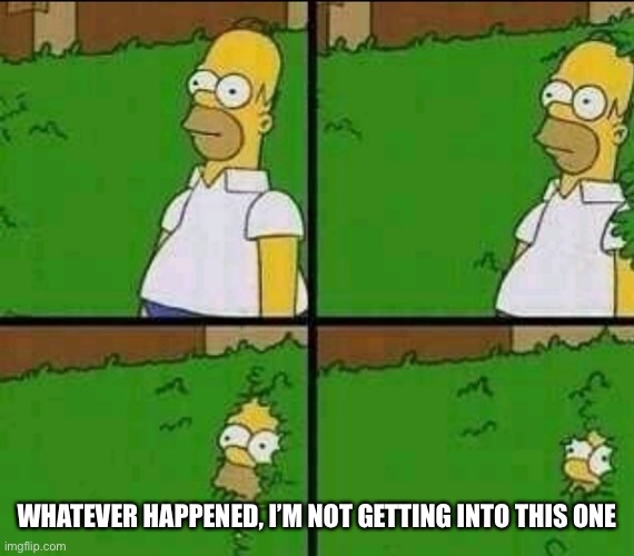 I’m just gonna keep making memes that are normal so I don’t get my friends pissed | WHATEVER HAPPENED, I’M NOT GETTING INTO THIS ONE | image tagged in homer simpson nope | made w/ Imgflip meme maker