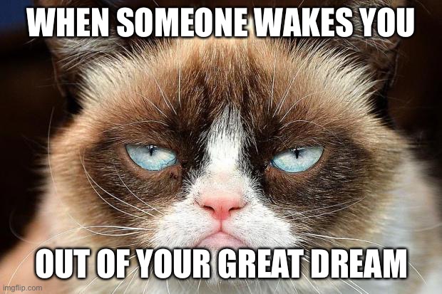 Oof lol |  WHEN SOMEONE WAKES YOU; OUT OF YOUR GREAT DREAM | image tagged in memes,grumpy cat not amused,grumpy cat,funny,dreams,reality | made w/ Imgflip meme maker