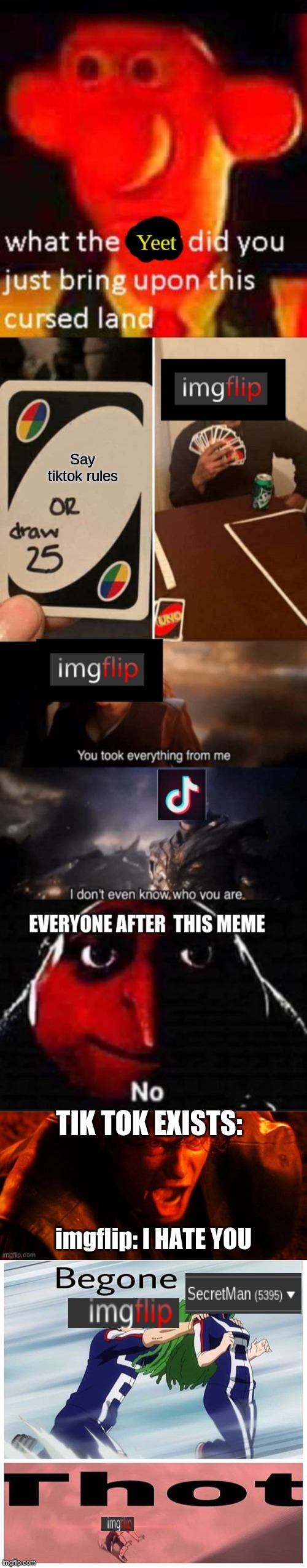 POV: you hate this meme | Say tiktok rules | image tagged in dont,hate | made w/ Imgflip meme maker
