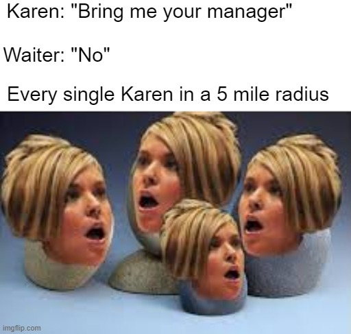 Karens | Karen: "Bring me your manager"; Waiter: "No"; Every single Karen in a 5 mile radius | image tagged in karen | made w/ Imgflip meme maker