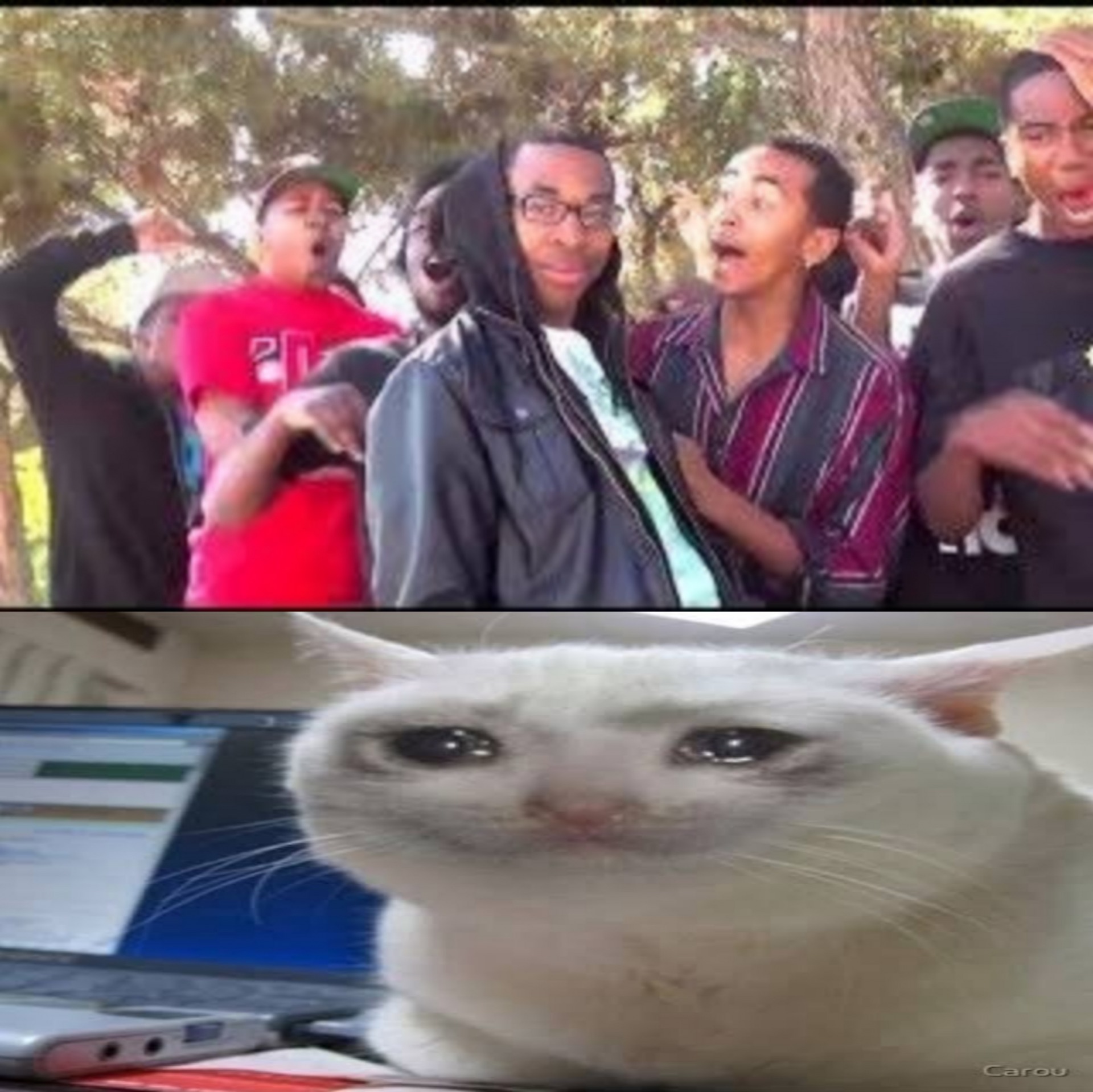 Roasting the Crying Cat Blank Meme Template