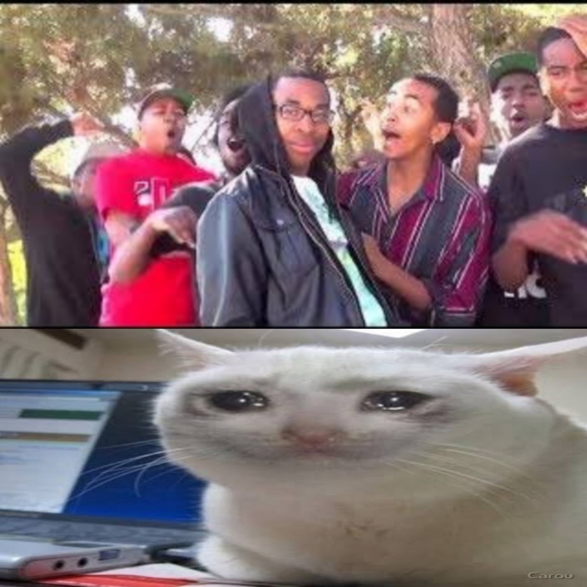 High Quality Roasting the Crying Cat Blank Meme Template