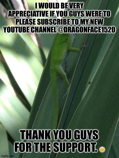 Please Sub |  I WOULD BE VERY APPRECIATIVE IF YOU GUYS WERE TO PLEASE SUBSCRIBE TO MY NEW YOUTUBE CHANNEL @DRAGONFACE1520; THANK YOU GUYS FOR THE SUPPORT. 😊 | made w/ Imgflip meme maker