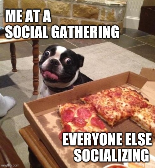 Crazy pizza dog |  ME AT A SOCIAL GATHERING; EVERYONE ELSE SOCIALIZING | image tagged in hungry pizza dog | made w/ Imgflip meme maker