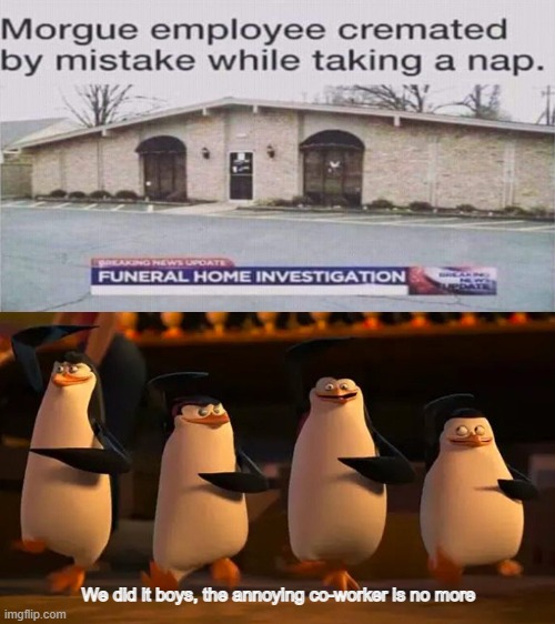 Our annoying co-worker is no more, and same as our job... | We did it boys, the annoying co-worker is no more | image tagged in penguins of madagascar | made w/ Imgflip meme maker