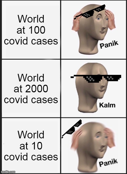 CoVId NiNETeeN | World at 100 covid cases; World at 2000 covid cases; World at 10 covid cases | image tagged in memes,panik kalm panik | made w/ Imgflip meme maker