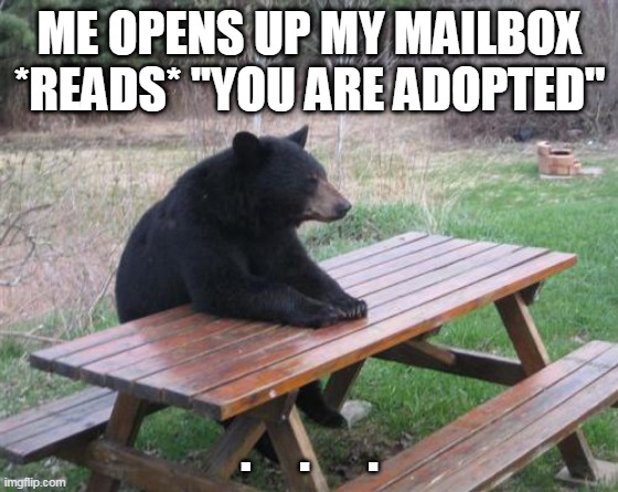 its true not gonna lie | ME OPENS UP MY MAILBOX *READS* ''YOU ARE ADOPTED''; .     .      . | image tagged in memes,bad luck bear | made w/ Imgflip meme maker