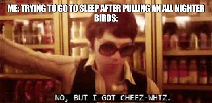 LAUUGH IN I WANT SLEE | ME: TRYING TO GO TO SLEEP AFTER PULLING AN ALL NIGHTER
BIRDS: | image tagged in no but i got cheez-whiz | made w/ Imgflip meme maker