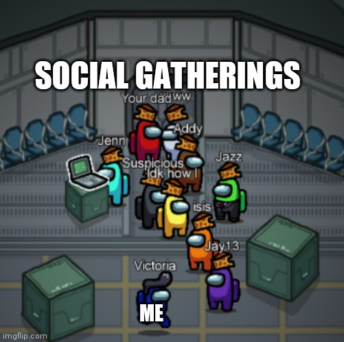 True Story | SOCIAL GATHERINGS; ME | image tagged in among us,memes | made w/ Imgflip meme maker