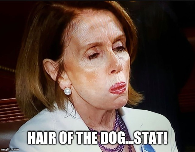 Nancy Pelosi PB Sandwich | HAIR OF THE DOG...STAT! | image tagged in nancy pelosi pb sandwich | made w/ Imgflip meme maker