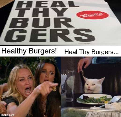 LOL | Healthy Burgers! Heal Thy Burgers... | image tagged in memes,woman yelling at cat,funny cats,lolcats | made w/ Imgflip meme maker