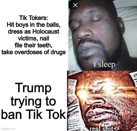 #trump2024 | Tik Tokers: Hit boys in the balls, dress as Holocaust victims, nail file their teeth, take overdoses of drugs; Trump trying to ban Tik Tok | image tagged in i sleep real shit | made w/ Imgflip meme maker