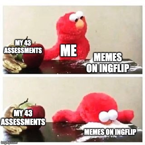 my life | MY 43 ASSESSMENTS; ME; MEMES ON INGFLIP; MY 43 ASSESSMENTS; MEMES ON INGFLIP | image tagged in elmo cocaine | made w/ Imgflip meme maker