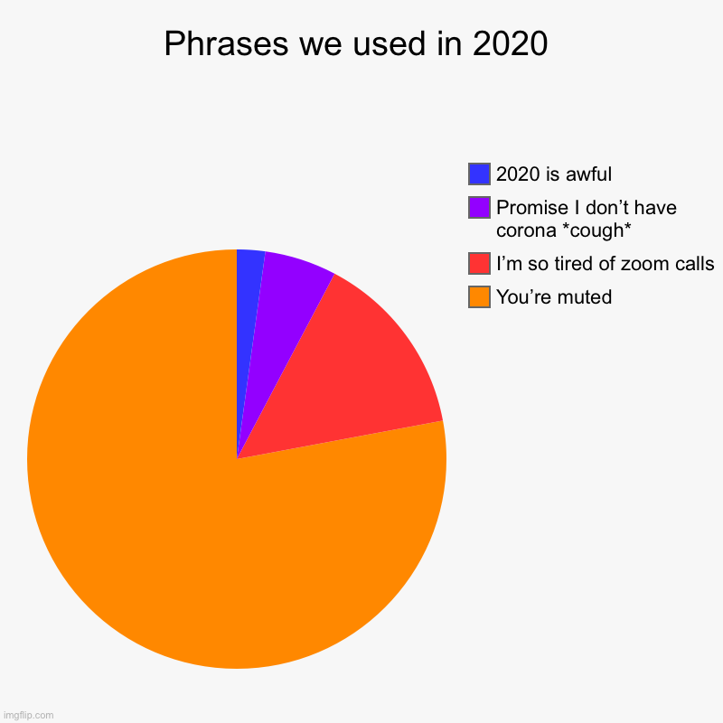 Phrases we used in 2020 | You’re muted, I’m so tired of zoom calls, Promise I don’t have corona *cough*, 2020 is awful | image tagged in charts,pie charts | made w/ Imgflip chart maker